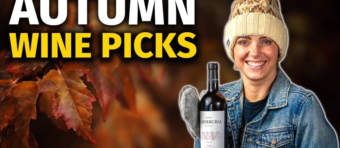 5 Wines I’ll Be Sipping This Cold Season (& You Should Too!) 5 Wines I’ll Be Sipping This Cold Season (& You Should Too!)