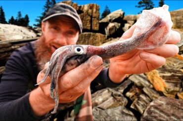 Ep.3 Catching My First Squids (Start-to-Finish!)