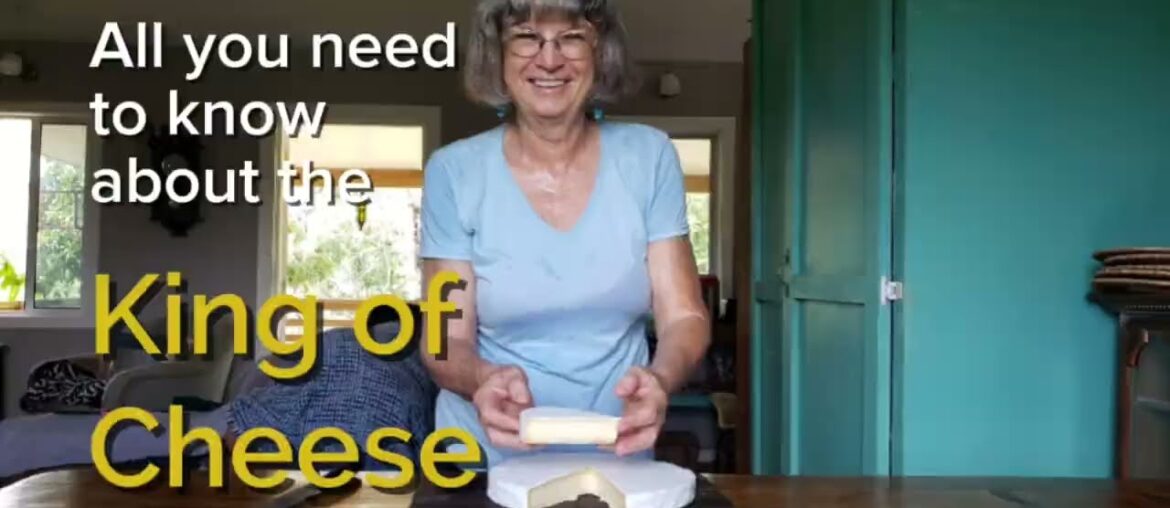 Let’s Talk Cheese| Brie Cheese Let's Talk Cheese| Brie Cheese