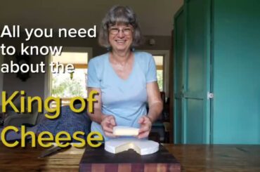 Let's Talk Cheese| Brie Cheese