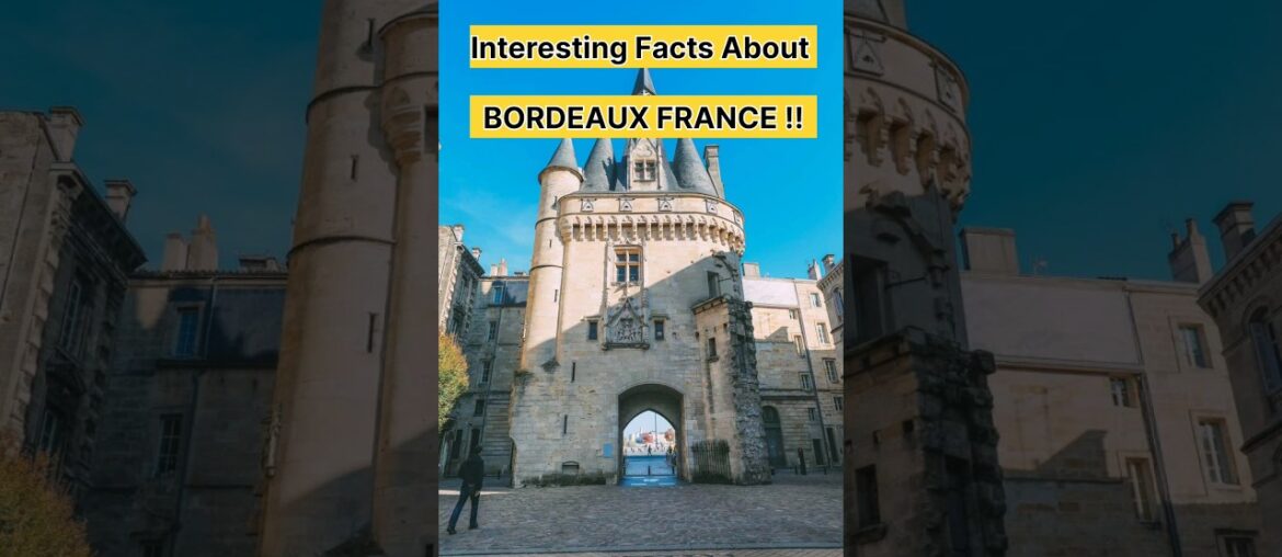 #bordeaux #bordeauxmetropole #france #explorefrance #exploreworldwithme #interestingfacts #shorts