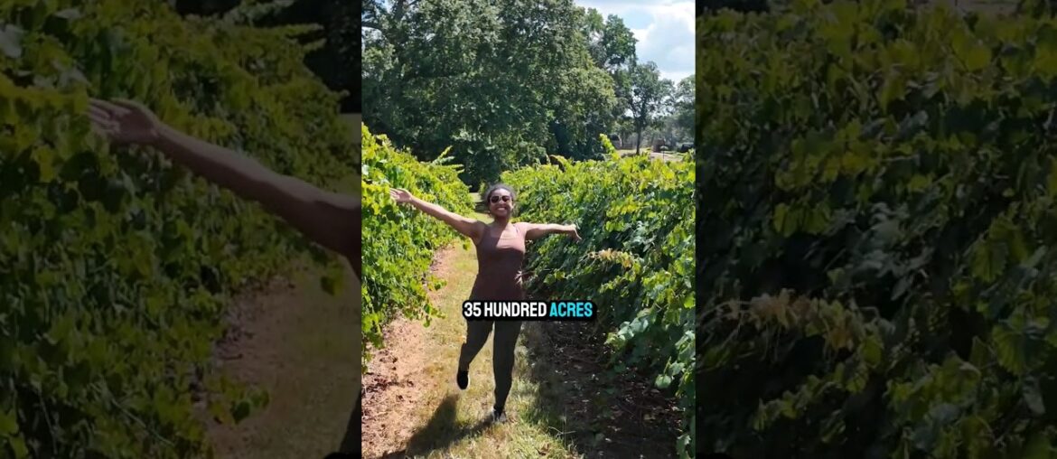 A ROMANTIC Weekend at Georgia's Most Extravagant Winery