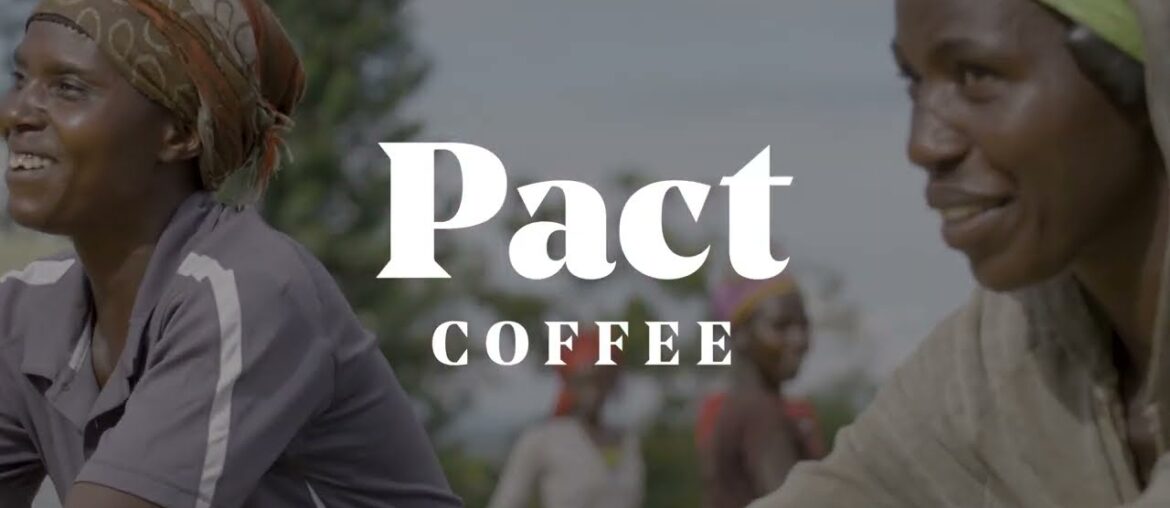 The Pact Coffee Story