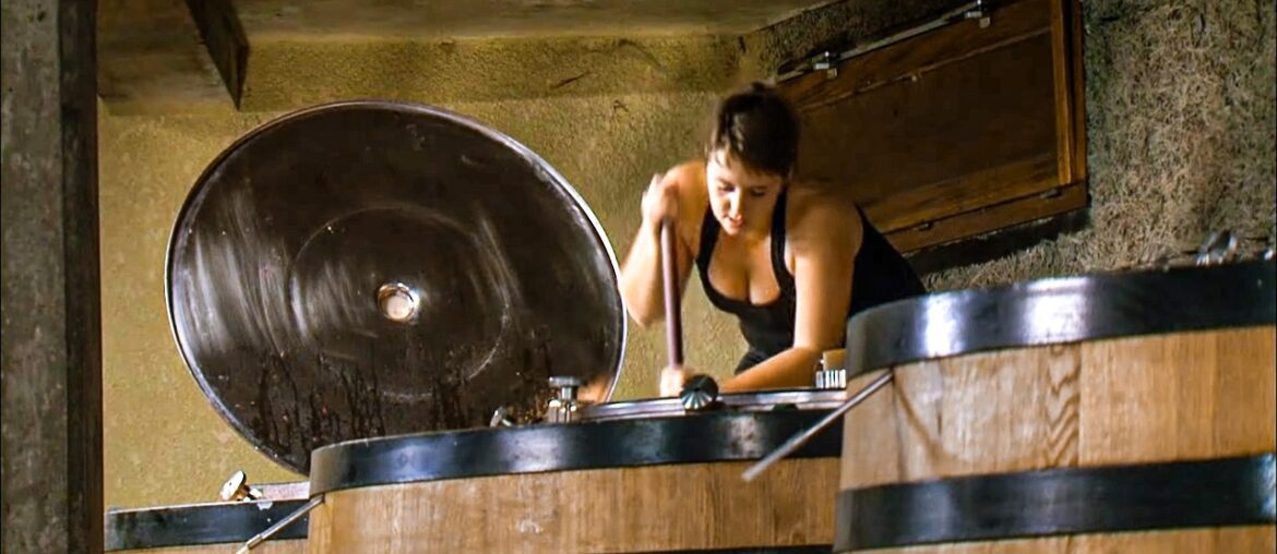 Northern Rhone Valley, Discovering The Great French Wines