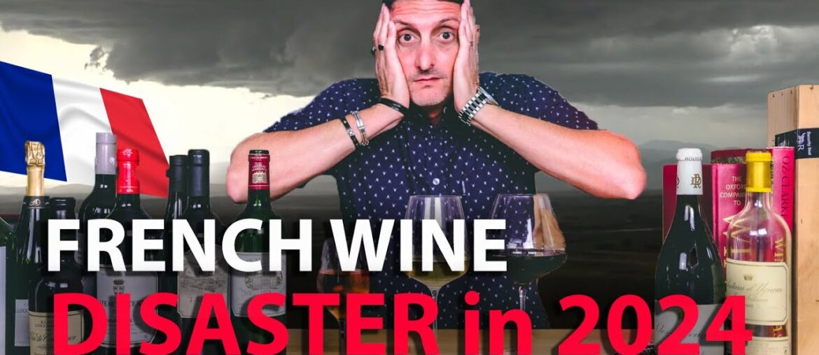 French Wine in 2024: The Smallest Vintage in a Century? French Wine in 2024: The Smallest Vintage in a Century?