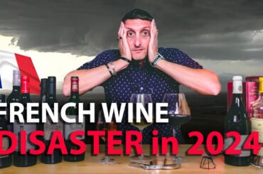 French Wine in 2024: The Smallest Vintage in a Century?