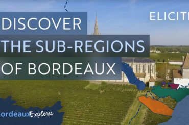 The Main Wine Sub-Regions Of Bordeaux