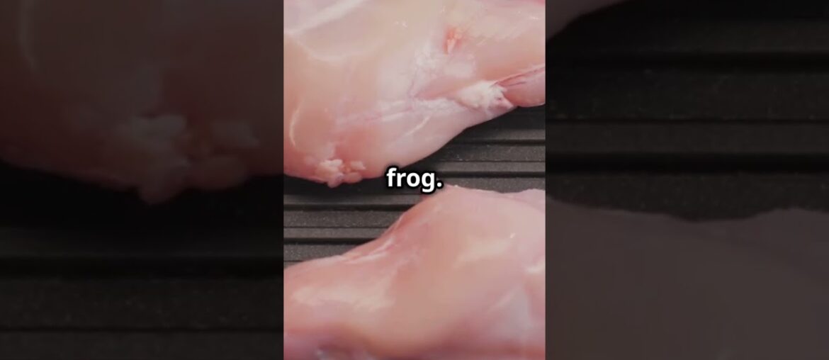 The most strange and delicious foods in France