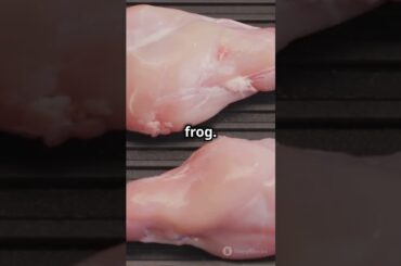 The most strange and delicious foods in France