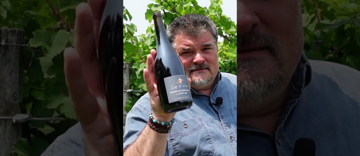 Bijou Splashette : Domaine des Ruaults 2021 Les Deux Croix