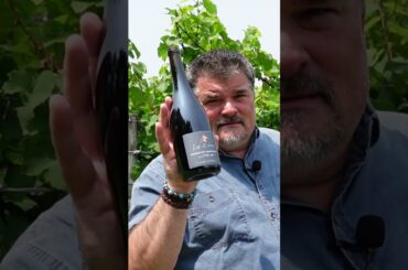 Bijou Splashette : Domaine des Ruaults 2021 Les Deux Croix