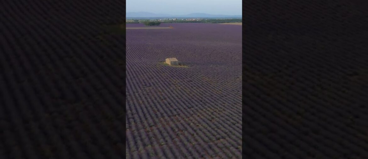 French Escapades: 7 Unmissable Experiences #travel French Escapades: 7 Unmissable Experiences #travel