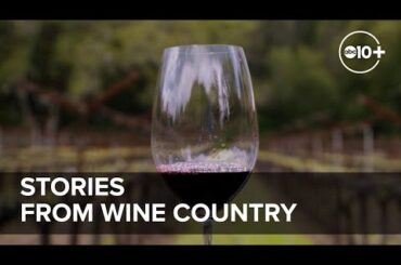Stories from Northern California's Wine Country | ABC10+ Feature