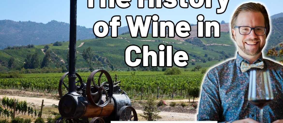 The History of Wine in Chile