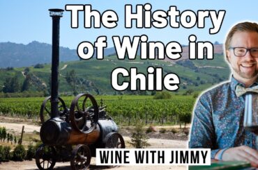 The History of Wine in Chile