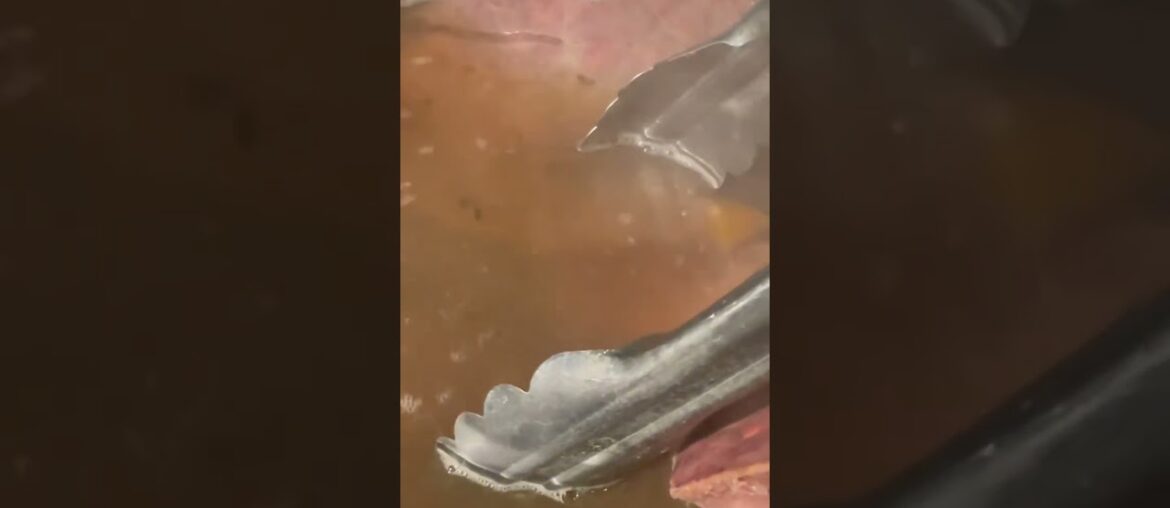 A short video of French Takebou's preparation #jazz #KOBE#French#bistro#wine#smoke