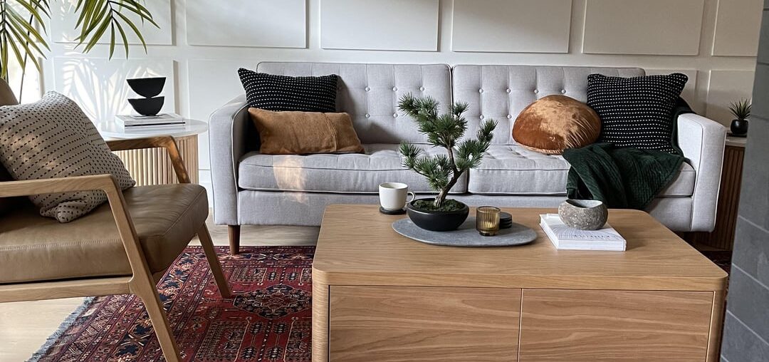 Best rug for living room? Assuming pillows, blankets, art will coordinate