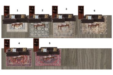 Which rug for living room?