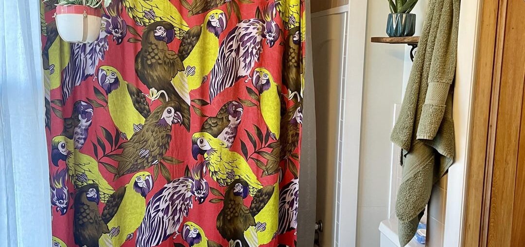 Which shower curtain?