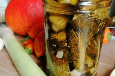 64H fermented garlicky Dill Pickles