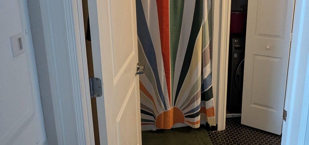 What would you add to my bathroom next? Not really a (live) plant guy.