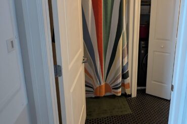 What would you add to my bathroom next? Not really a (live) plant guy.