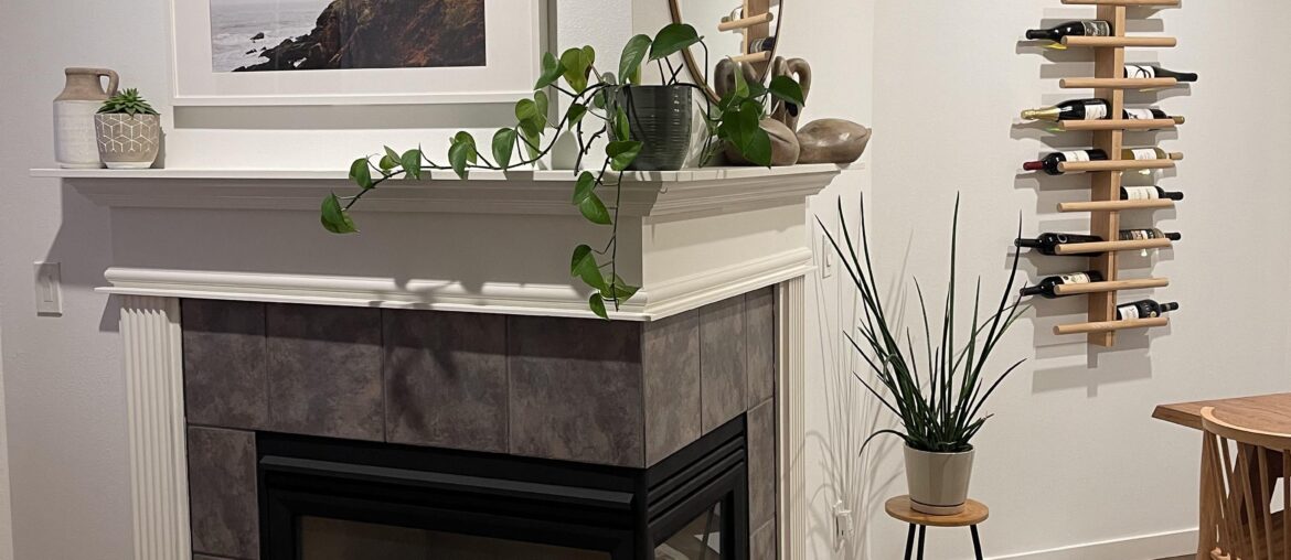 Recommendations for two-sided fireplace reno