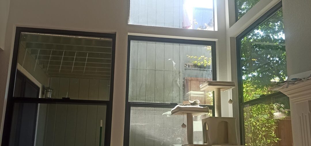 Asymetrical windows, options?