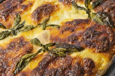 Preparing Two Lasagne [Instructions in the gallery from right to left] ― On Day 1: preparing the hash and veggie sauce in the slow cooker. ― On day 2: preparing a béchamel, assembling the parts and baking the first Lasagne (the second went into the freezer)