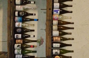 Promised Update of the harvest so far