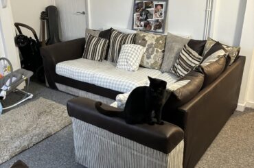 Help with colours? Living room