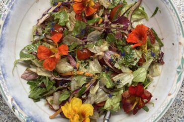 Simple salad with freshly harvested tomatoes & herbs & blossoms from the garden