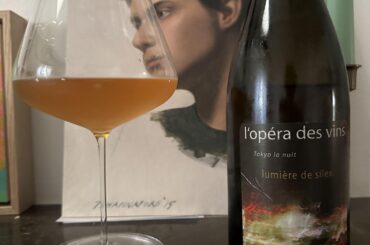 Jean Pierre Robinot - Lumière de Silex - 2006