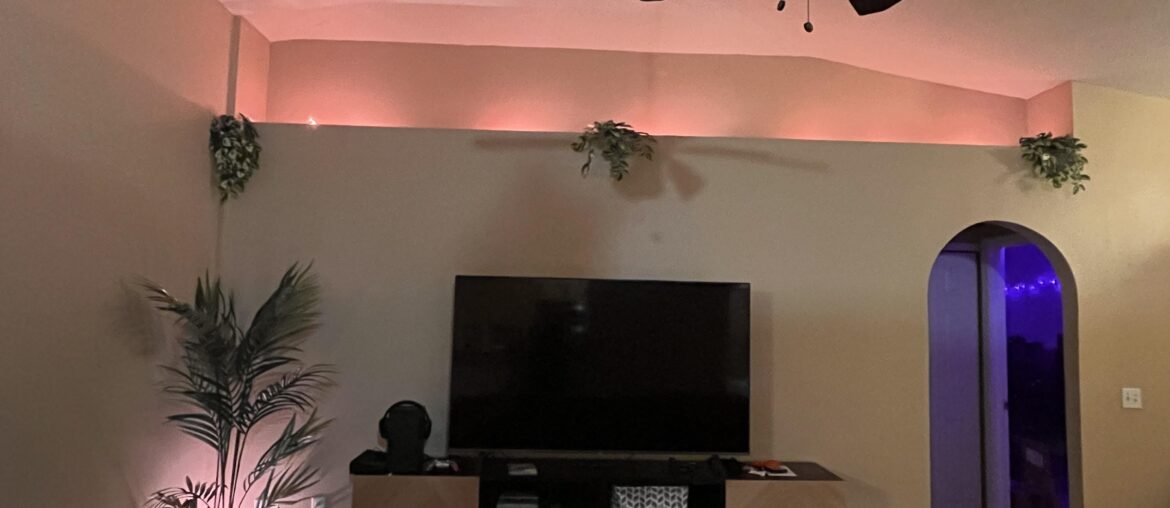 What would yall add to the top of this shelf to fill it in?