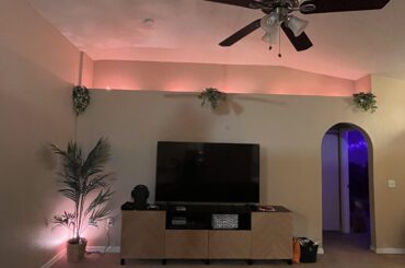 What would yall add to the top of this shelf to fill it in?