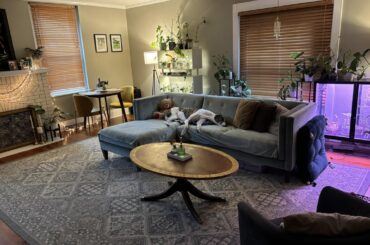 First time spending more than a year in an apartment & decorating on a student budget!