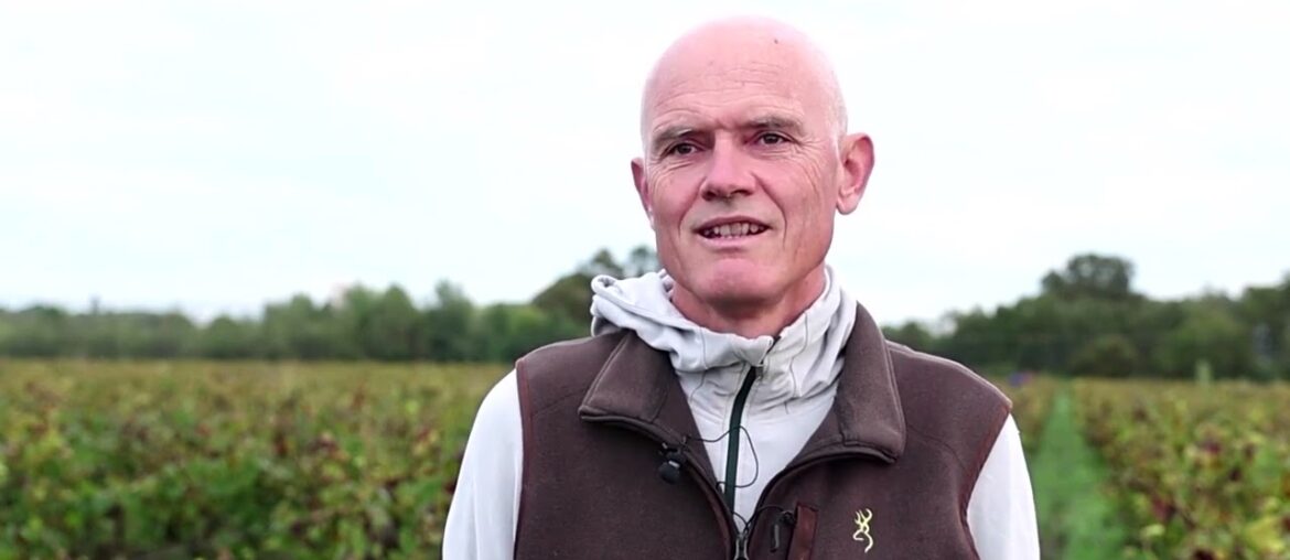 'Catastrophic' harvest facing French wine producers | REUTERS