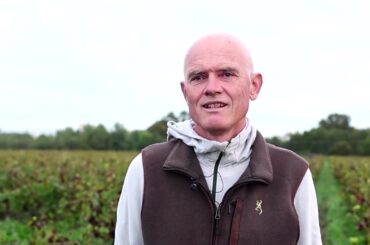 'Catastrophic' harvest facing French wine producers | REUTERS