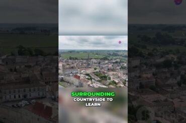 Unveiling the Enchanting Beauty of Bordeaux A Wine Lover's Paradise #shorts