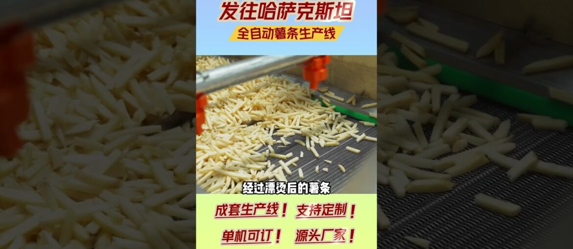 French fry production line, can efficiently produce French fries #machine #frenchfriesmachine #food