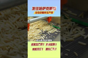 French fry production line, can efficiently produce French fries #machine #frenchfriesmachine #food