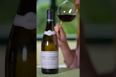 Gevrey-Chambertin 1er Cru Les Cazetiers 2011 Wine Review | Domaine Bruno Clair #winetasting