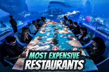 Beyond Fine Dining: The Most Expensive Restaurants In the World (2024)