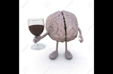 Episode 90- Sommelier Brain Study, What To Watch For In Wine, French Oak