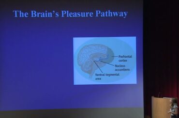 The Psychology, Biology and Politics of Food 06