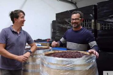 Cellar Series: Winemaker of Clos Cibonne in Provence - French Wine Education - Travel