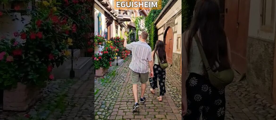 Eguisheim - France #wine #france #waltz #travel #french #vlog #lifestyle #life #sunshine