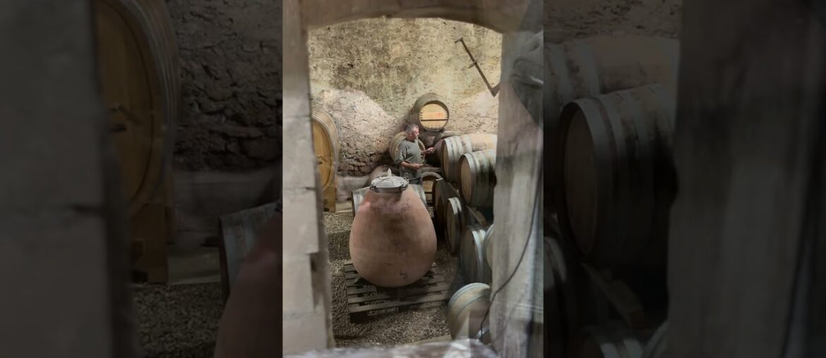 DOMAINE LEDOGAR (CORBIERES cru BOUTENAC) #winery #frenchwine #organicwine  #biodynamicwine