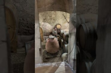 DOMAINE LEDOGAR (CORBIERES cru BOUTENAC) #winery #frenchwine #organicwine  #biodynamicwine