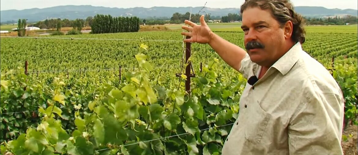 California, Santa Barbara Valley and Sonoma Valley: the Land of New World Wines